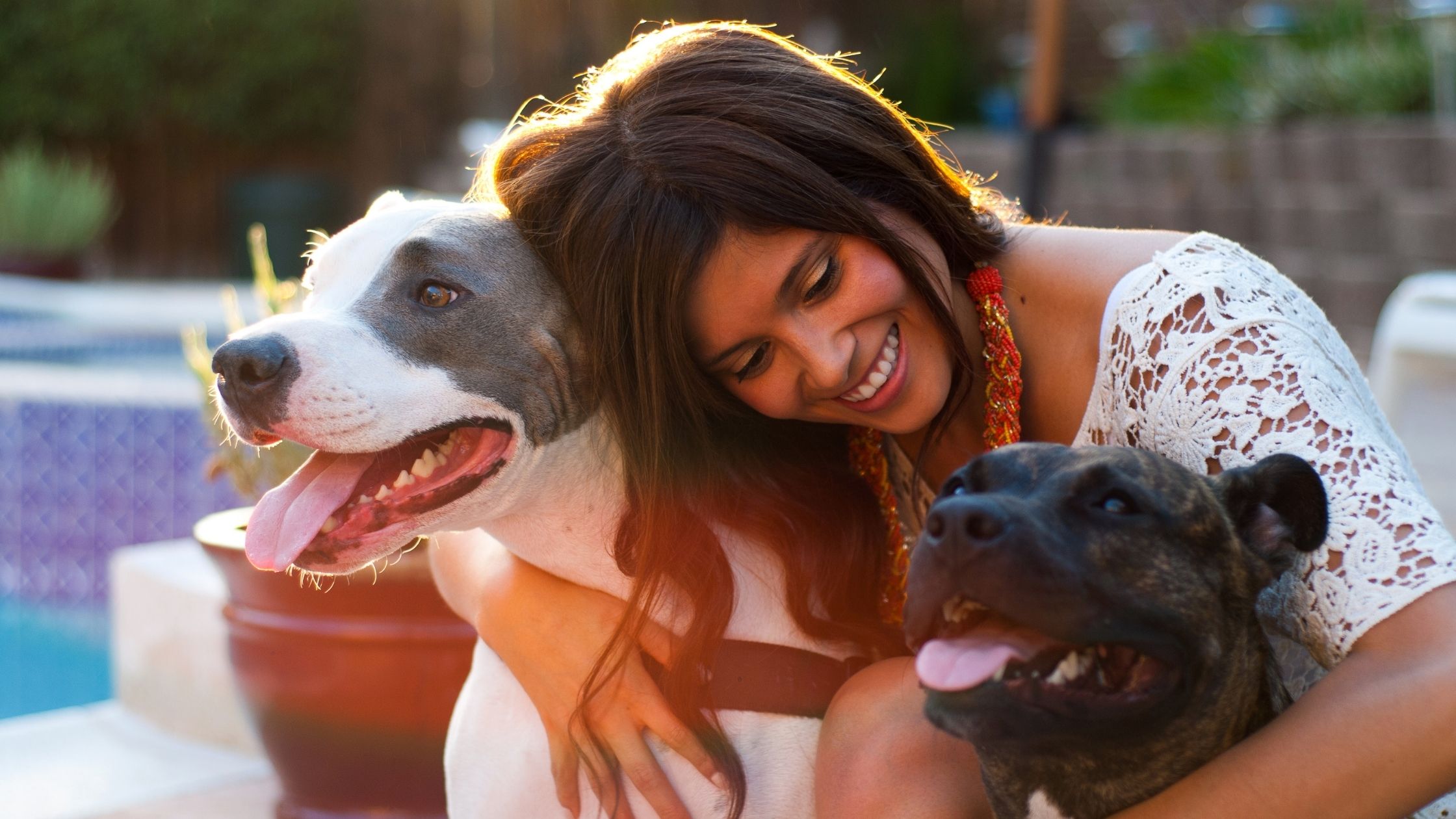 Can My Pets Increase the Cost of My Home Insurance?