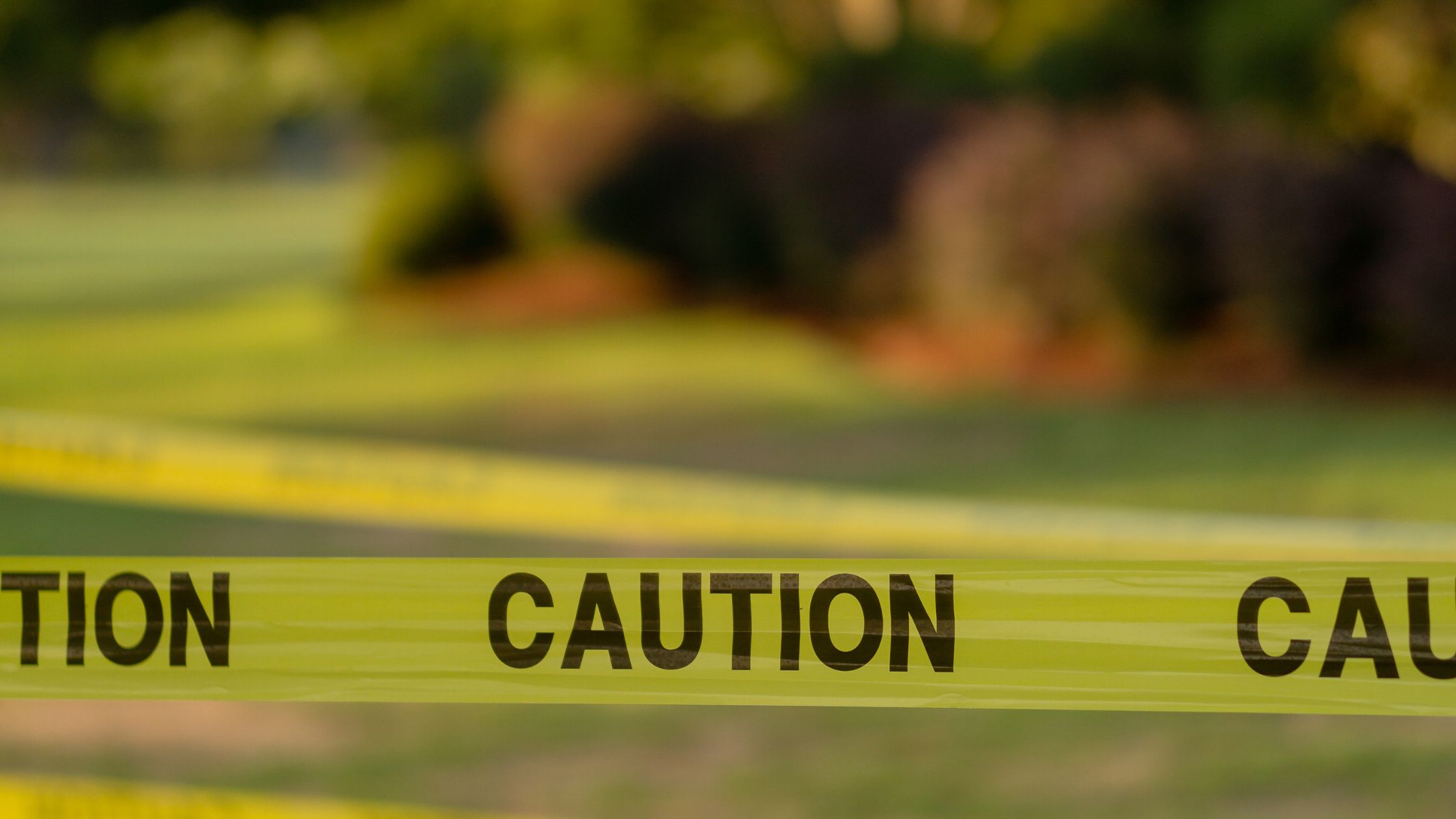 Catastrophic Ground Cover Collapse vs Sinkhole Coverage What You Need